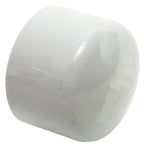 PVC Cap 2"SS
