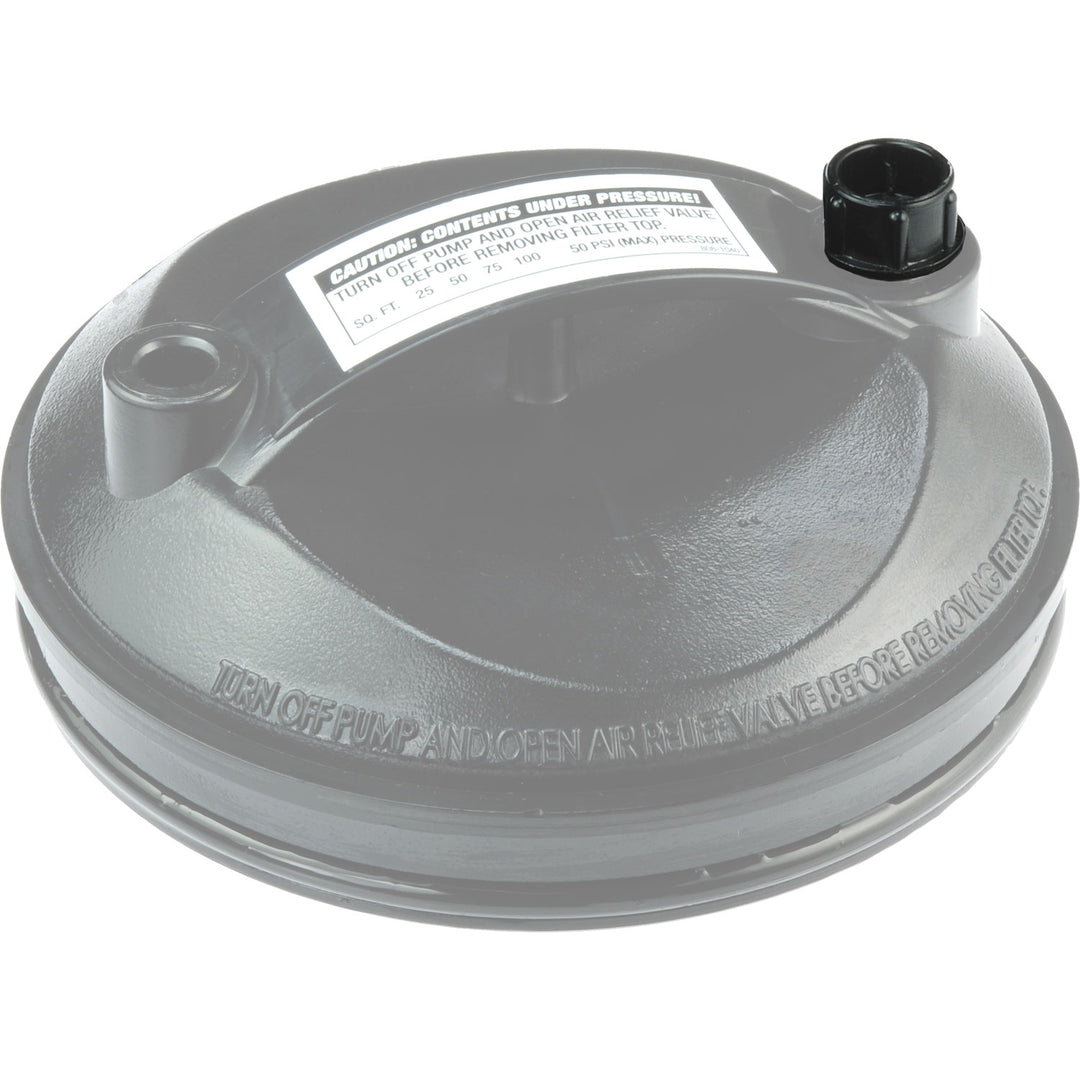 Waterway Filter Air Vent Valve Plug