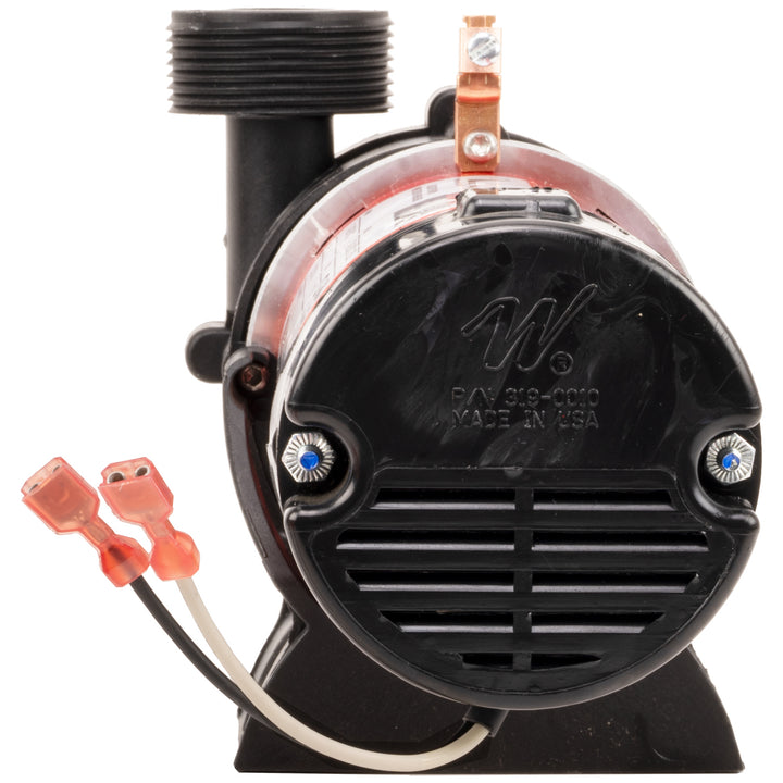 Waterway Tiny Might Circulating Pump 1" MBT/1/2"SS 120V