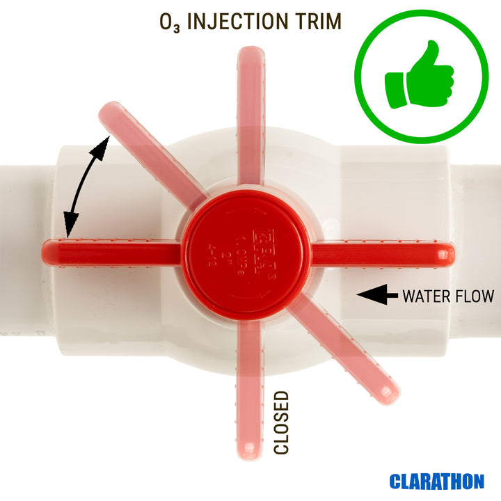 Ozone injector manifold