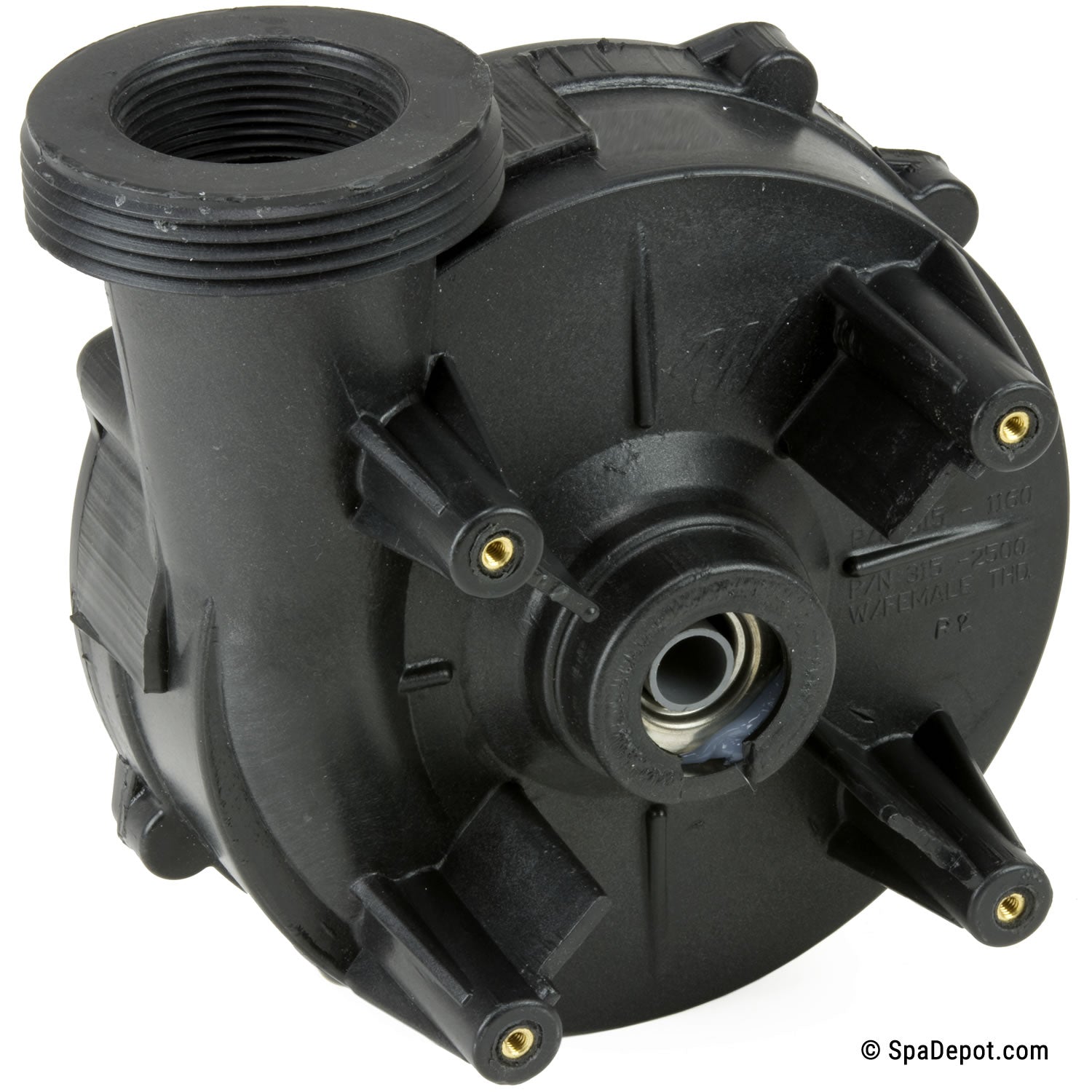 Waterway Hi-Flo 3HP Wet-End Spa Pump - 2