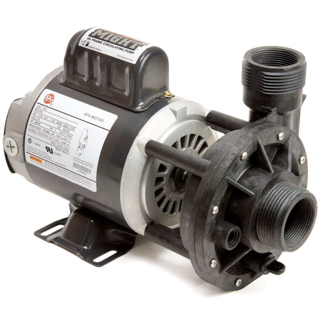 Waterway Iron Might Circulating Pump 1.5" 120V
