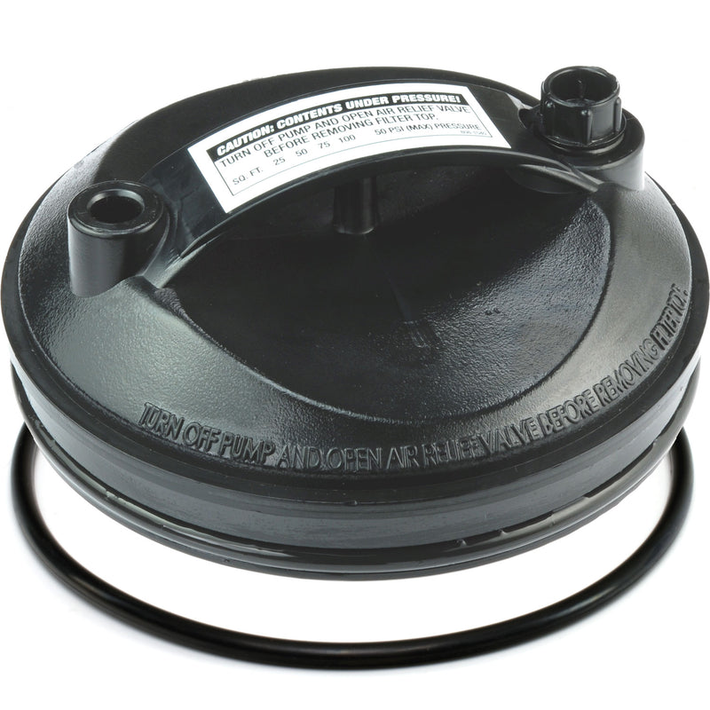 Waterway Top-Load Filter Lid Assembly with O-Ring