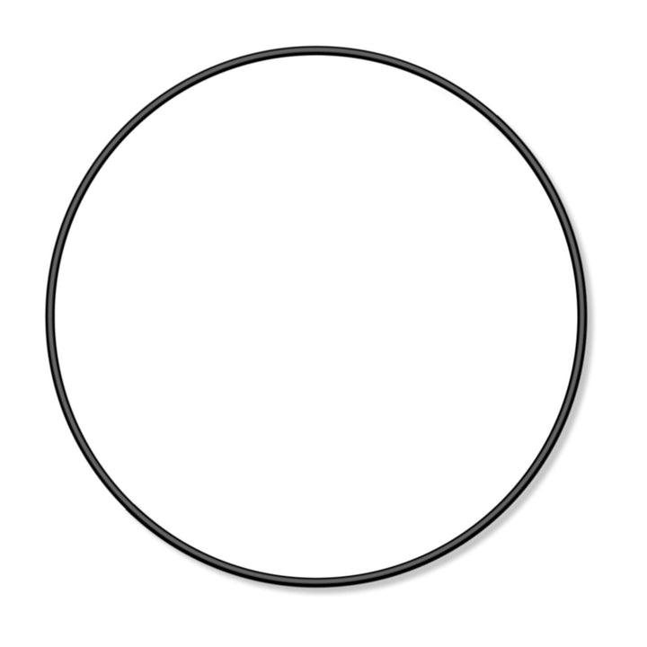 O-Ring for Waterway Executive Series Pump Faceplate