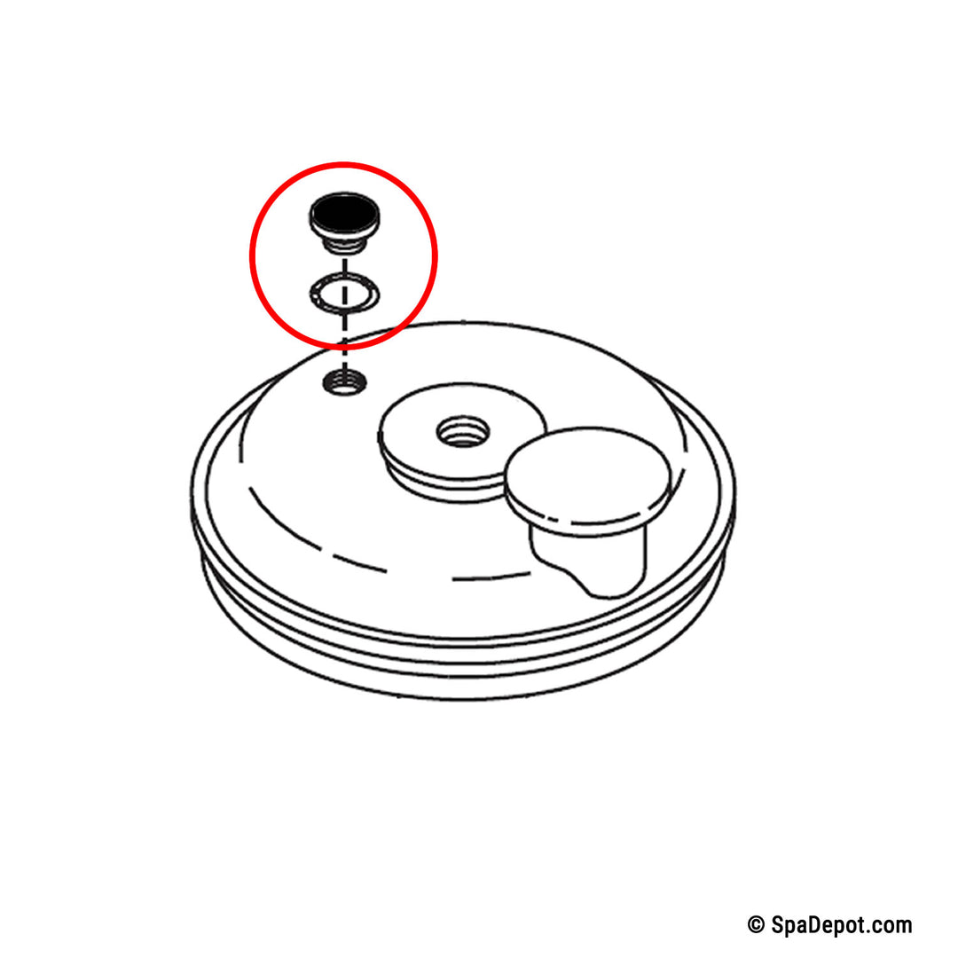 Rainbow / Pentair Filter Air Vent Valve Plug