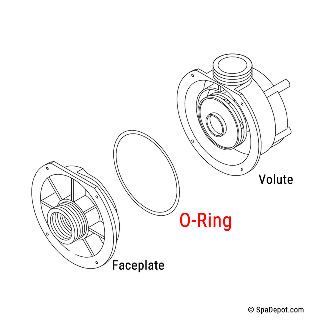 O-Ring for Waterway E-Series Center-Discharge Pump Faceplate