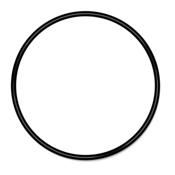 Hot Tub Filter Canister O-Ring - 6-1/4
