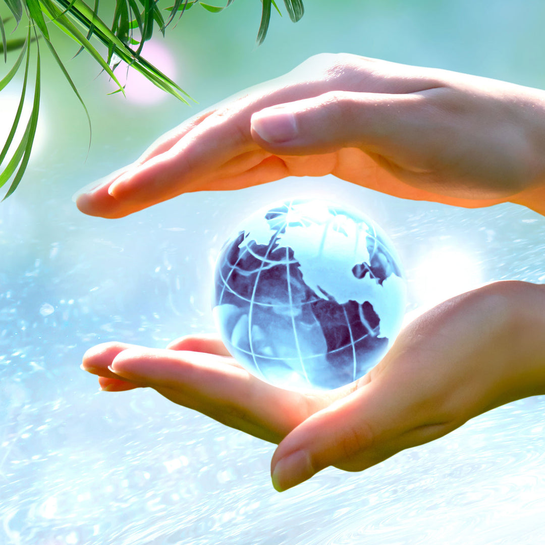 Chitosan Natural Clarifier for Spas & Pools