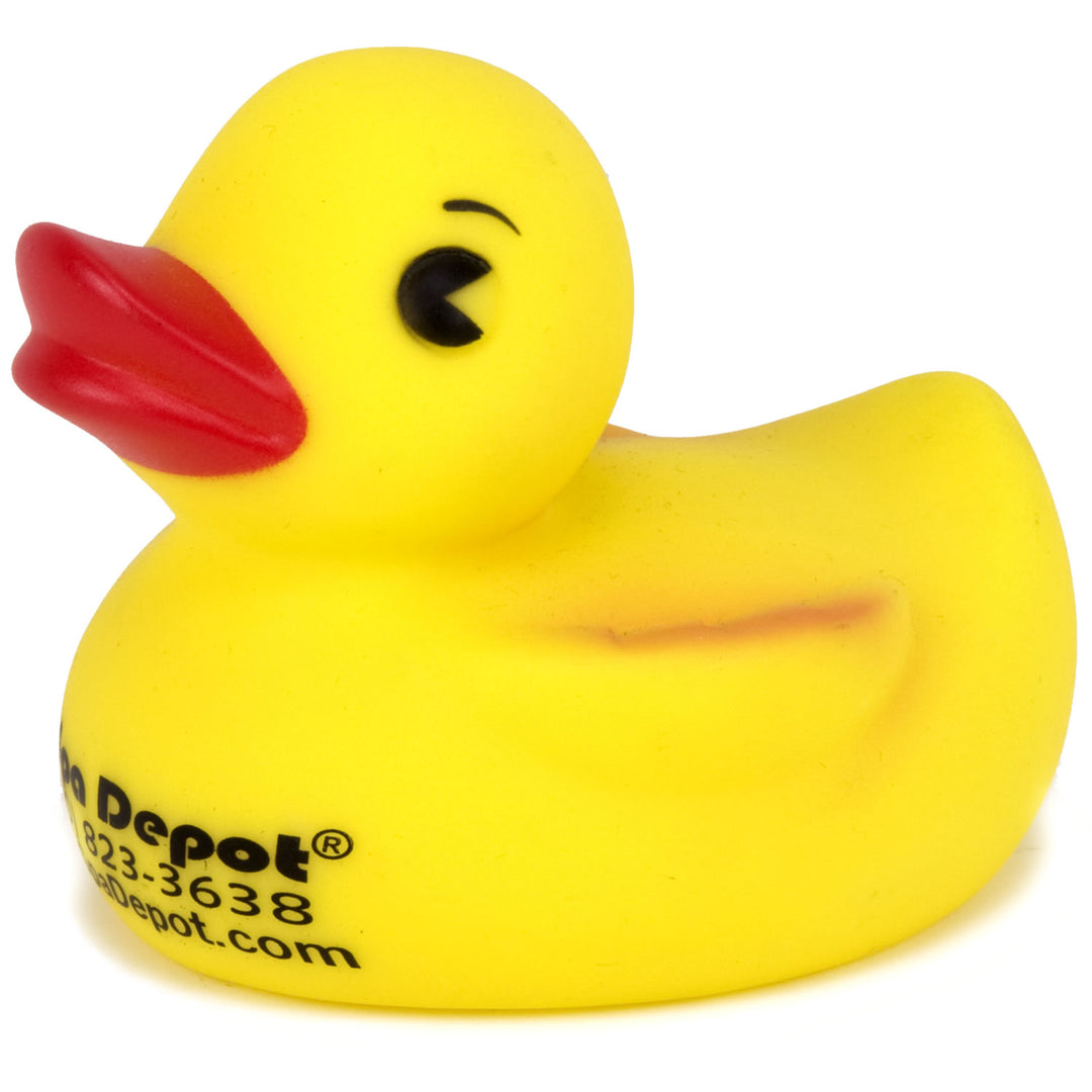 Depot duck