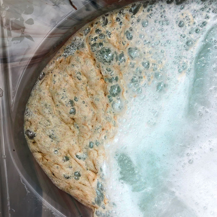 Spa System Flush - Hot Tub Cleaner